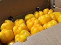 Bell Peppers